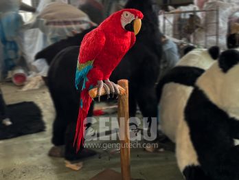 Parrots: Colorful Companions of the Sky﻿