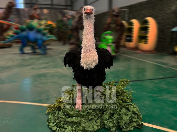 Ostrich