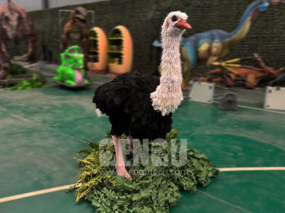 Ostrich
