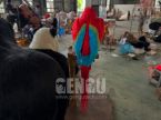 Parrot