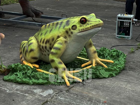 Frog
