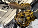 Tree-coiled Python