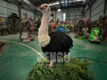Ostriches: Nature's Speedy Giants﻿