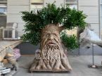 Talking Tree