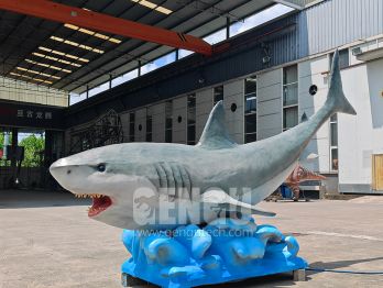 The World of Sharks﻿