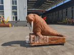 Walrus