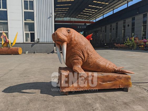 Walrus