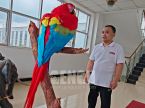 Parrot