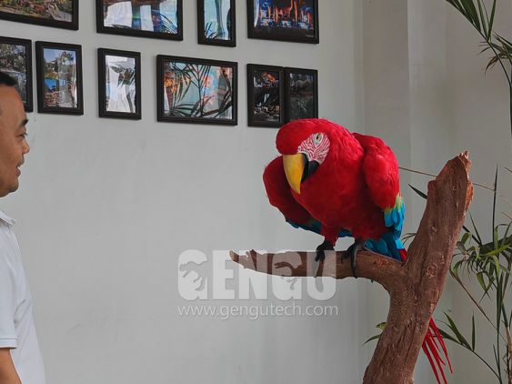Parrot