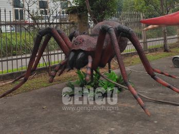 The Wonderful World of Spiders