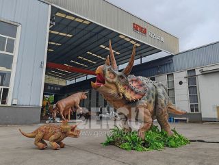 Triceratops