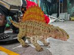 Dimetrodon