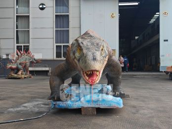 Meet the Monitor Lizard