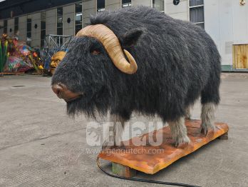 Muskox Legends and Ice Age Survivors