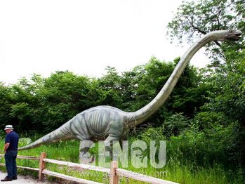 The Omeisaurus