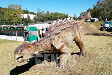 Ankylosaur