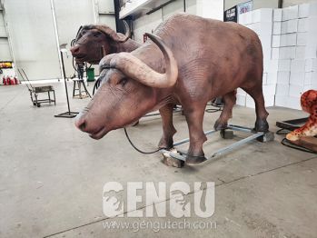 Buffalo